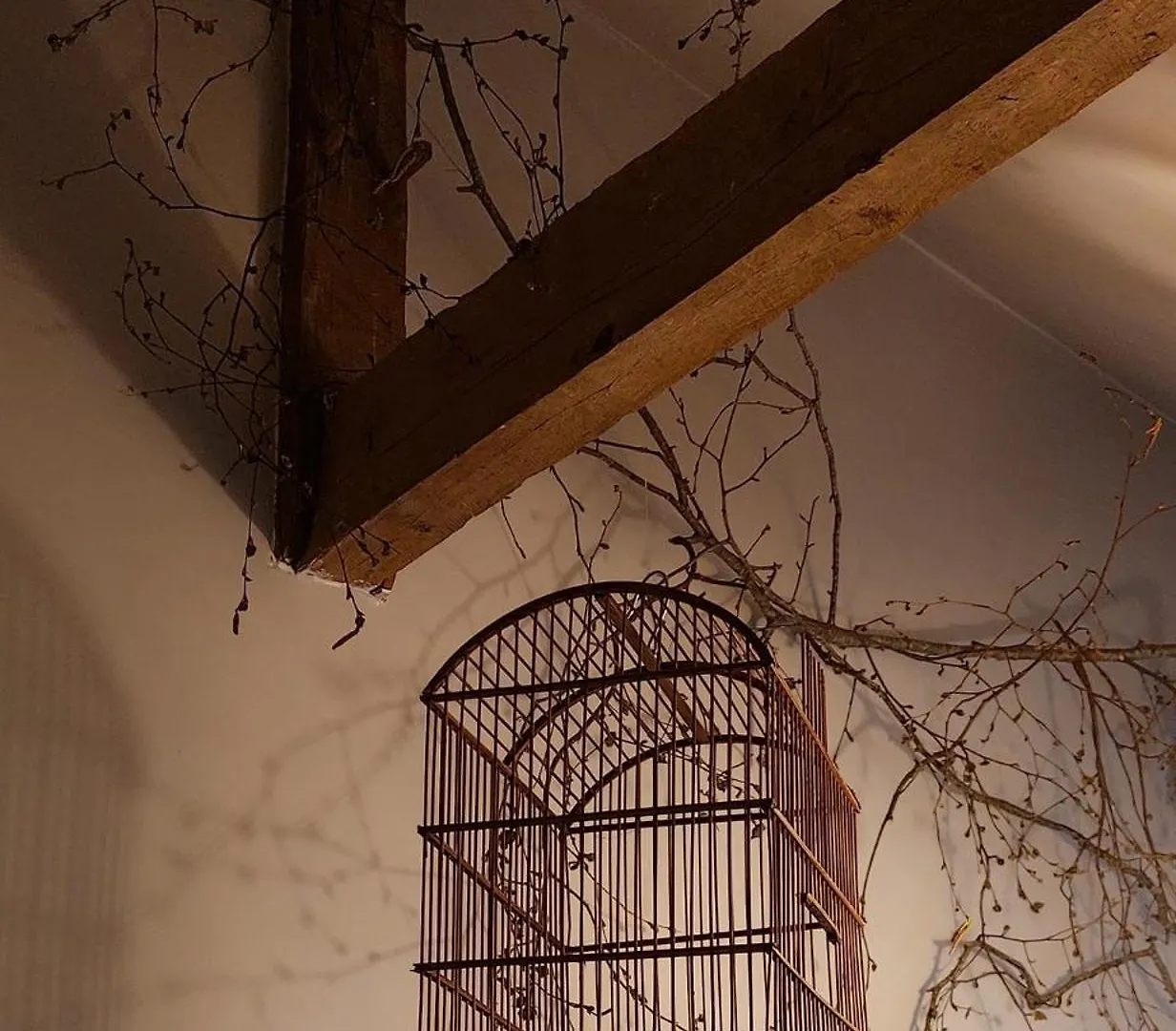 La Lezardiere Pleugriffet Bed & Breakfast